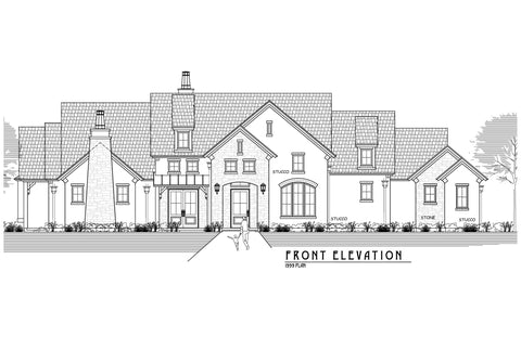1999 Plan